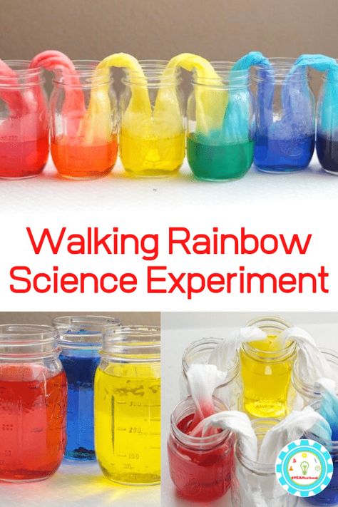 Walking Rainbow Experiment, Rainbow Science Experiment, Walking Water Experiment, Spring Science Experiments, Spring Stem Activities, Rainbow Science, Water Science Experiments, Walking Rainbow, Rainbow Experiment