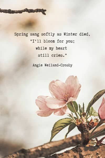 Poetry About Spring, Spring Inspirational Quotes, Springtime Quotes, Spring Poetry, Winter Poetry, Winter Quote, Nature Quotes Inspirational, Spring Poem, Nature Poetry