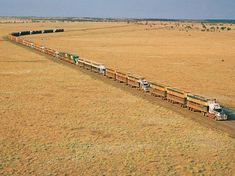 Almost as far as the eye can see... (clubr8255) Train Truck, Outback Australia, Road Train, Semi Trailer, Big Rig Trucks, Northern Territory, Heavy Truck, Big Trucks, Semi Trucks