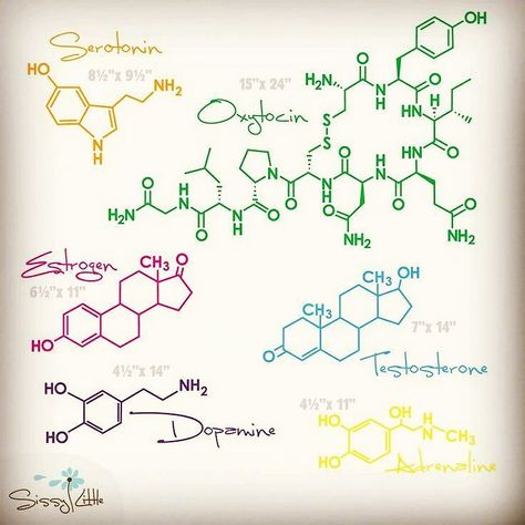 #aminoacids #aminos #mentalhealth Hormone Tattoo, Love Hormone, Chemistry Tattoo, Science Tattoos, Chemistry Art, Human Spine, Science Nerd, Hee Hee, Chemical Formula