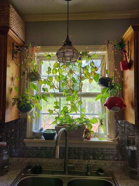 Plants Kitchen Window, Cottage Core Kitchen, Kitchen Window Decor, Boho Kitchen Ideas, College House, Kitchen Plants, Boho Room, House Plants Decor, Eco Friendly House