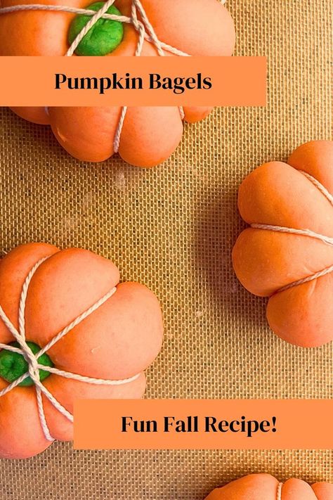 There are some orange dough pumpkins tied with twine. Pumpkin Bagel Recipe, Cute Halloween Food, Types Of Bagels, Pumpkin Bagels, Fun Kid Lunch, Halloween Breakfast, Fall Fun Food, Homemade Bagels, Fall Recipe