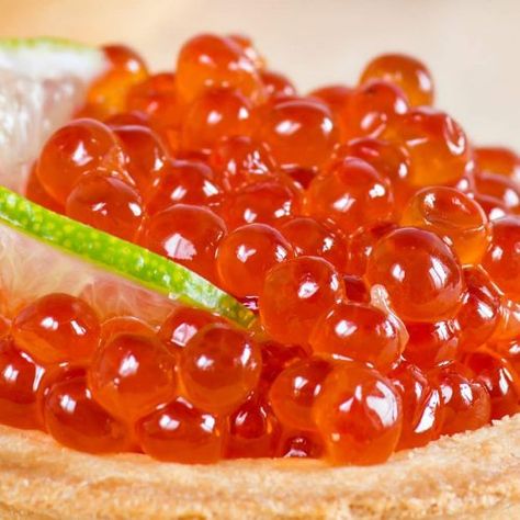 Salmon Roe Caviar (Ikura) - IzzyCooking Chum Salmon, Cured Egg, Salmon Caviar, Sturgeon Fish, Fish Eggs, Red Caviar, Raw Fish, Salmon Eggs, Salmon Roe