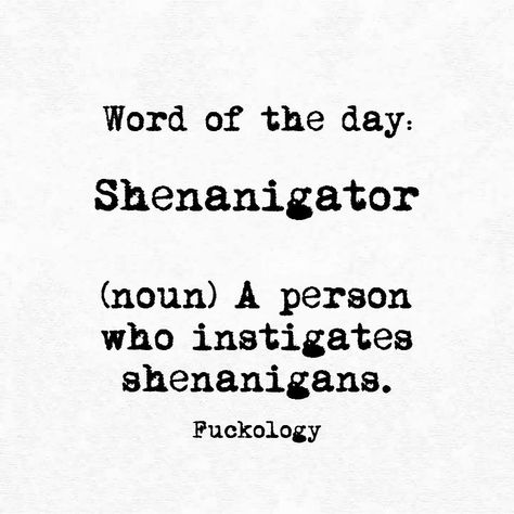 Shenanigator (noun) A person who instigated shenanigans Motivational Quotes For Work, Latest Quotes, Quotes Time, Quotes For Work, 20th Quote, Twisted Humor, Word Of The Day, Work Quotes, Sarcastic Humor