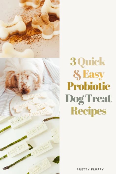 Homemade Probiotics for Dogs: 3 Fun & Easy Recipes | Pretty Fluffy Homemade Probiotics, Dog Probiotics, Pet Treats Recipes, Probiotics For Dogs, Frozen Dog Treats, Dog Remedies, Healthy Dog Treats Homemade, Dog Treats Homemade Recipes, Frozen Dog