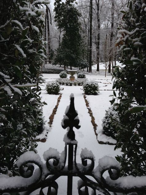 Snowy garden Snowy Garden Aesthetic, Snowy Garden, Winter Gardens, Garden Urns, I Love Winter, Christmas Feeling, Winter Scenery, Winter Park, Winter Aesthetic