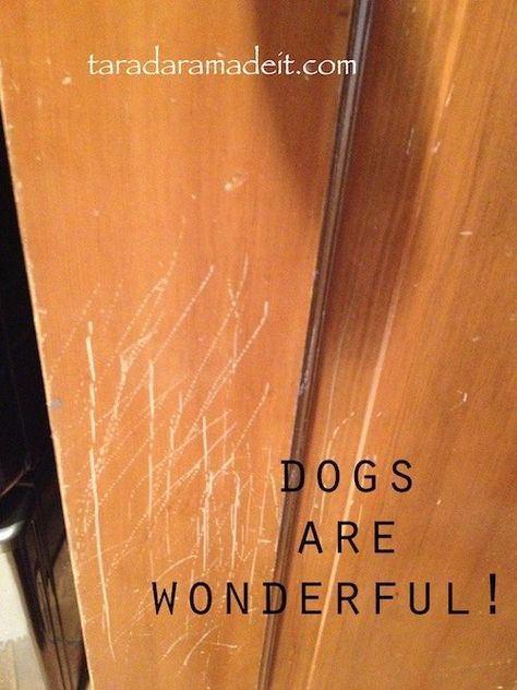 Homes with dogs, kids, or even just aging cabinets and wood doors will strongly benefit from this EASY DIY tip!!!! Thoughts of sanding and staining all the door… Repair Scratched Wood, Fix Scratched Wood, Plywood Plank Flooring, Wood Baseboard, Diy Furniture Restoration, Restore Wood, Scratched Wood, Wood Organization, Cabinets Doors