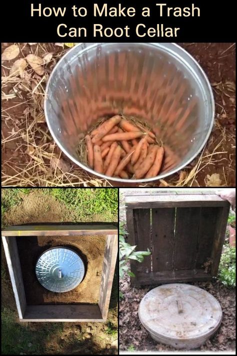 Preserve Your Garden's Bounty by Making an Inexpensive and Simple Root Cellar From a Trash Can Root Cellar Plans, Homesteading Food, Root Cellars, Cellar Ideas, Survival Garden, Homesteading Diy, Root Cellar, Plant Medicine, Homesteading Skills