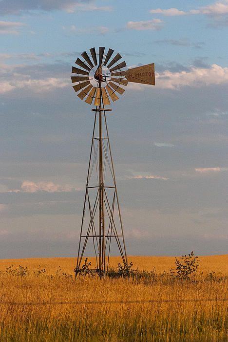 Windmill Photos, Money Photo, Tilting At Windmills, Farm Windmill, Windmill Art, Windmill Water, Old Windmills, Blowing In The Wind, Water Wheel