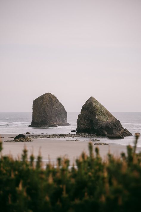 Ecola State Park Wedding — Wild Coast | Wedding & Elopement Photography Ecola State Park Elopement, State Park Elopement, Dream Wedding Locations, State Park Wedding, Ecola State Park, Inspiring Places, Cannon Beach Oregon, The Goonies, Park Elopement