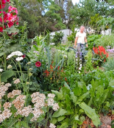 Australian Permaculture Gardens, Kitchen Garden Australia, Edible Garden Australia, Food Forest Australia, Subtropical Garden Australia, Permaculture Australian, Polyculture Garden, Diverse Garden, Community Sustainability