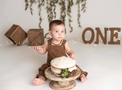 Neutral First Birthday Photoshoot, Woodland One Year Old Photoshoot, Cake Smash Neutral Colors, Minimal First Birthday Photoshoot, First Birthday Outdoor Cake Smash, Minimalist One Year Old Photoshoot, First Birthday Board, Half Birthday Baby, Baby Bump Photoshoot