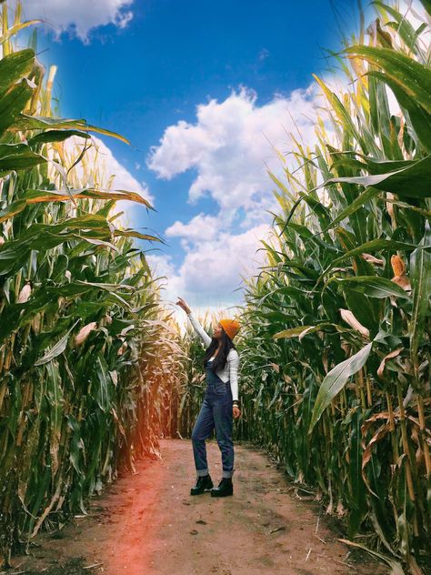 Corn Maze Photography, Overalls Photoshoot, Corn Maze Photoshoot, Maze Photoshoot, Corn Maze Pictures, Wearing Overalls, Pumpkin Patch Photoshoot, Pumpkin Patch Pictures, Fall Photo Shoot Outfits