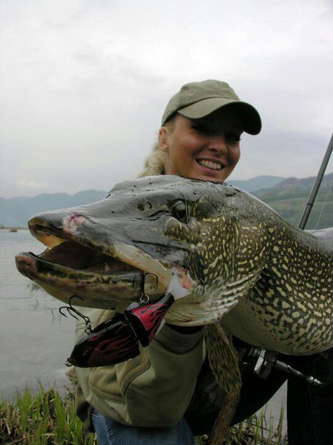 Fish Chart, Fishing Girl, Pike Fish, Musky Fishing, Giant Fish, Monster Fishing, Fishing Pictures, Pike Fishing, Walleye Fishing