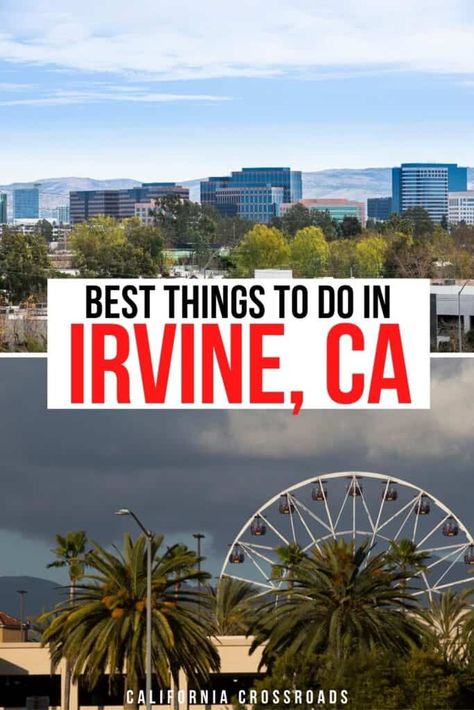 13 Irresistible Things to Do in Irvine, California Usa Travel Map, Activities For All Ages, Irvine California, Visit Usa, Travel Bucket List Usa, Travel Destinations Bucket Lists, Us Road Trip, Usa Travel Guide, Us Destinations