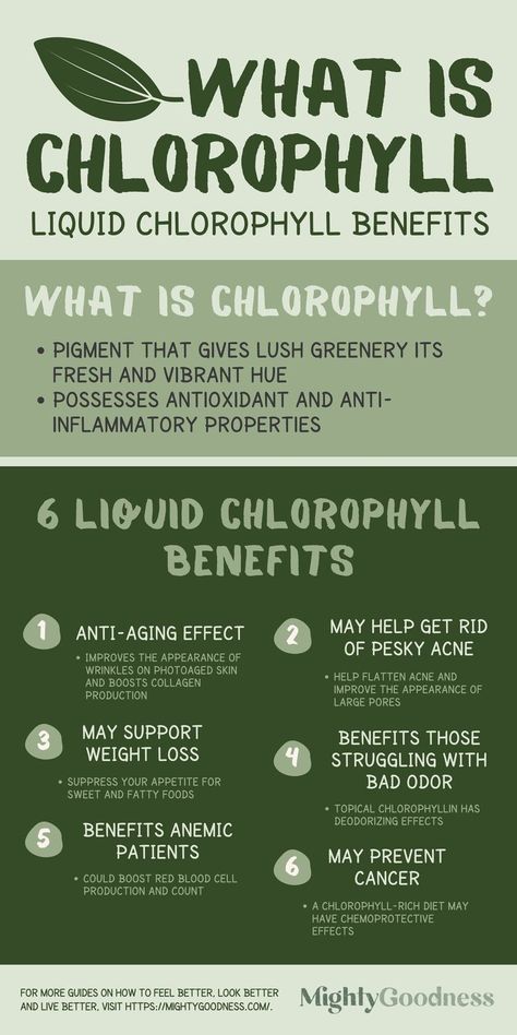 What Does Liquid Chlorophyll Do, Benefits Of Cholorphyll, Liquid Cholorphyll Benefits, Liquid Clorophil Benefits, Chrophyl Benefits, Liquid Chlorophyll Before And After, Clorophil Benefits, Benefits Of Chlorophyll Water, Chlorophyll Benefits Women