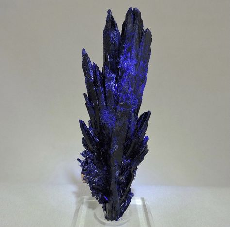 Azurite Crystals, Lunar Meteorite, Minerals Crystals Rocks, Crystal Formations, Pretty Rocks, Cool Rocks, Rocks Crystals, Crystal Magic, Gemstones Crystals