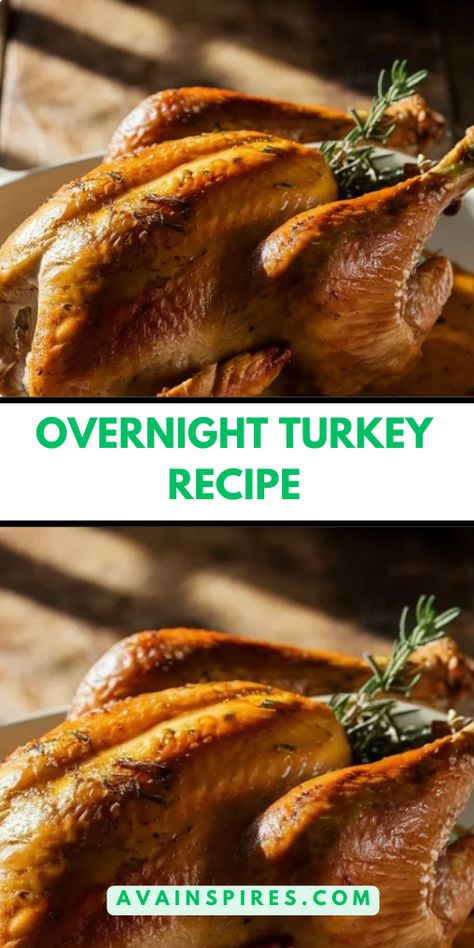 Overnight Turkey Recipe Slow Roasted Turkey In Oven Overnight, Slow Cooking Turkey In Oven, Cooking Turkey Overnight In Oven, How To Cook A Turkey Overnight, Slow Cooked Turkey In Oven, Overnight Turkey In Electric Roaster, Slow Cook Turkey In Oven, Cooking A Turkey Over Night In Oven, Slow Roasted Turkey In Oven