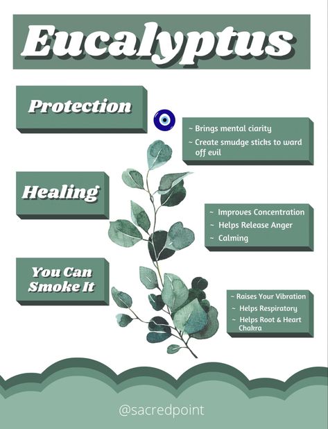 Eucalyptus Witchcraft, Eucalyptus Smudge, Apothecary Diy, Herbs Garden, Medical Herbs, Sacred Science, Witch Stuff, Magic Herbs, Eclectic Witch