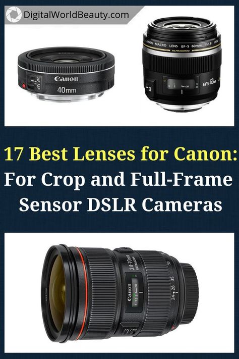 Camera Lenses Explained, Camera Tutorial, Photo School, Dslr Lens, Canon Cameras, Best Dslr, Best Digital Camera, Landscape Photography Tips, Creative Photography Techniques