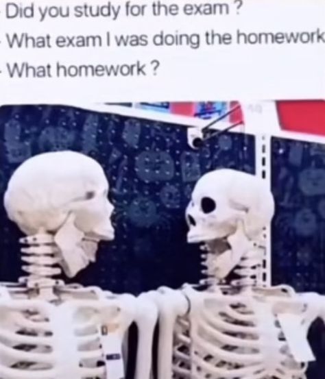 Exam Memes, Me And My Bestie, My Bestie, Funny Comedy, Homework, Memes, Funny