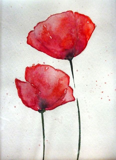 Watercolour Crafts, Watercolour Blossom, Watercolor Blossom, Poppy Watercolor, Watercolor Poppies, Poppy Art, 강아지 그림, Poppy Painting, Watercolour Inspiration