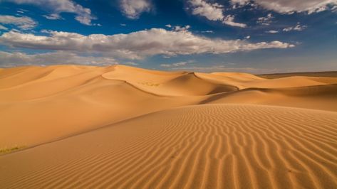 Dessert Landscaping, Desert Village, Desert Background, Desert Area, Desert Dunes, Dry Desert, Desert Colors, Sand Textures, Desert Life