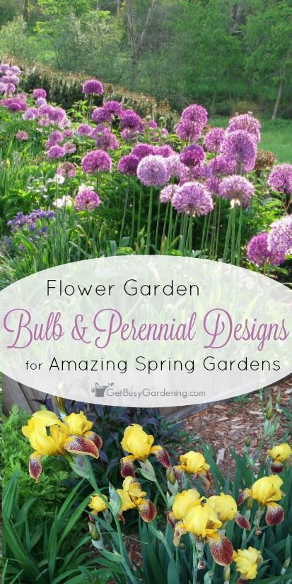 You can add bulbs to an existing perennial bed for amazing spring color, and alliums might be the perfect flower garden bulb. These designs will help! Bulbs Garden Design, Spring Bulbs Garden, Spring Gardens, Perennial Bulbs, Backyard Garden Layout, Spring Garden Flowers, Flower Garden Design, Garden Spring, Genius Ideas