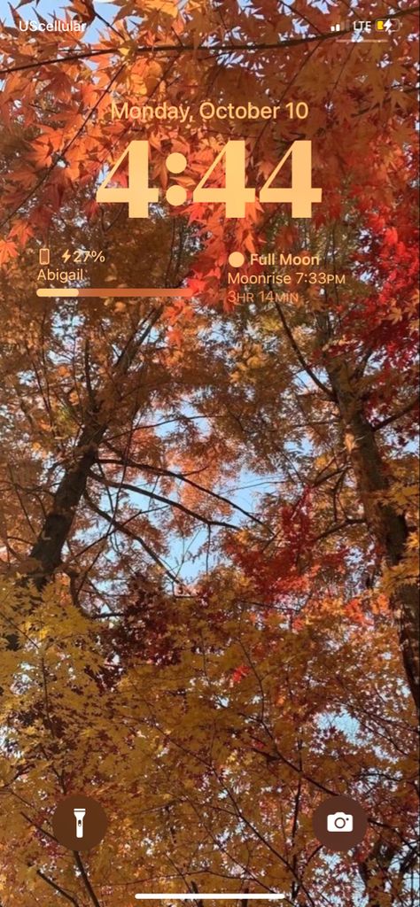 Fall Lock Screen Wallpaper Aesthetic, Fall Lockscreen Aesthetic Simple, Homescreen Ideas Halloween, Fall Home Screen Wallpaper Aesthetic, Iphone Autumn Aesthetic, Iphine11 Wallpaper Fall, Fall Phone Screen, Autumn Ios, Ios Fall Aesthetic