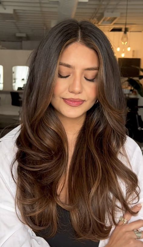 Bayalage Brunette Cool Tones, Mixed Brown Highlights, Hair Color Ideas For Deep Autumn, Money Piece Hair Tan Skin, Balayage To Dark Brown, Brunette Hair For Brown Eyes, Brown Hair Inspiration Colour, Old Money Brown Balayage, Black Hair Balayage Filipino