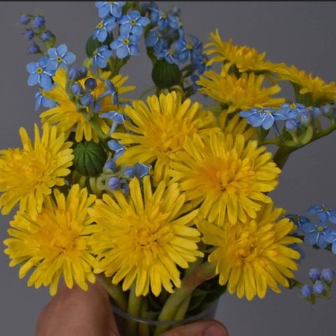 "Bouquet with forget-me-nots and dandelions." Dandelion Wedding Bouquet, Forget Me Not Bouquet, Dandelion Bouquet, Polymer Flowers, Dandelion Yellow, Strawberry Flower, Enchanted Forest Wedding, Flowers Bouquet Gift, Dandelion Flower