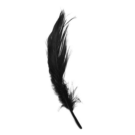 ((SECONDS)) These exquisite goose nagoire feathers are silky soft & smooth with rounded top edge, fantastic feather for making you flowers and sculpturing. Size 60mm to 150mm Priced per pack of 10 gram (approx 50 feathers, these packs are second grade) Black Feather Aesthetic, Black Feathers Aesthetic, Feathers Aesthetic, Feather Aesthetic, Swan Fashion, Swan Costume, Black Swan Costume, Collage Pieces, Reference Ideas