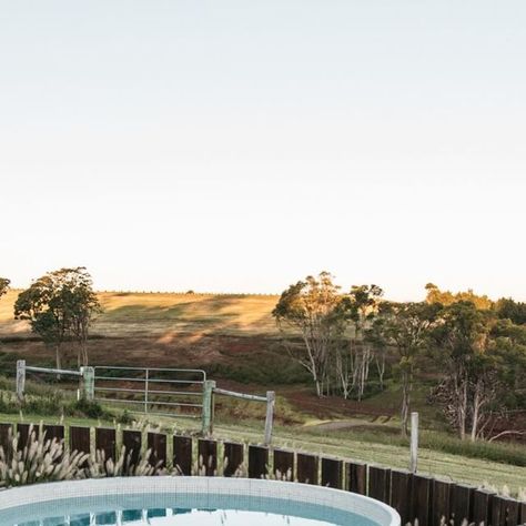 Grant James Boyle on Instagram: "Morning light over Binna Burra ~ with one of my faves Pennisetum nafray." Garden Desig, Morning Light, Dream Garden, A P, Happy New, Happy New Year, Garden Design, On Instagram, Instagram