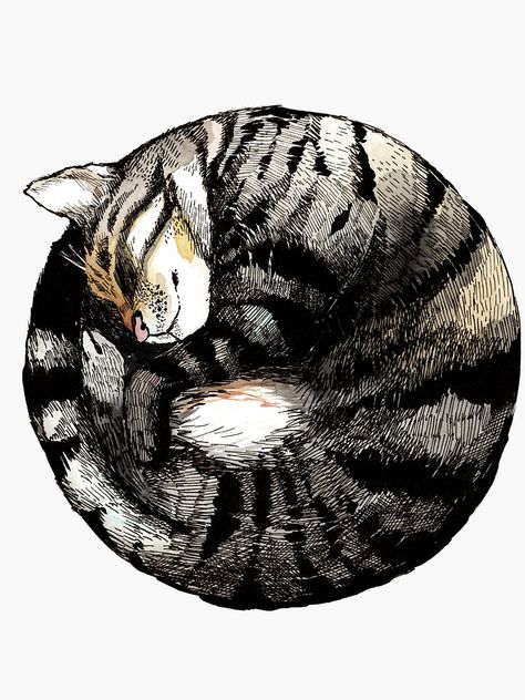 "Tranquil Cat Sleeps in a Circle" Sticker by JCPhillipps | Redbubble Different Art, Cat Art Illustration, Cat Sketch, Image Chat, Cat Artwork, Cats Illustration, Cat Sleeping, Cat Painting, Cool Paintings