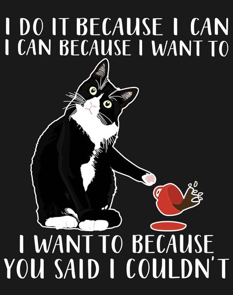 Cute Animal Quotes, Cat Quotes Funny, Image Chat, Warrior Quotes, Cat Quotes, Cat Posters, Funny Cute Cats, Animal Quotes, Sarcastic Quotes