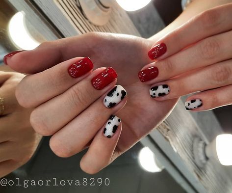 Cow Print Nails With Red, Red Nails With Cow Print, Vet Tech Nails, Farm Theme Nails, Red And Cow Print Nails, Red Cow Nails, Chicken Nails Designs, Red Cow Print Nails, Cow Acrylic Nails