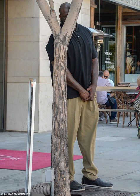 Peekaboo! Shaquille O'Neal ribbed the paparazzi by hiding behind a far too slender tree outside a Beverly Hills steakhouse on Tuesday Shaq Meme, Shaquille O'neal, Daily Memes, I Smile, Reaction Pictures, True Stories, Make You Smile, Make Me Smile, Funny Pictures