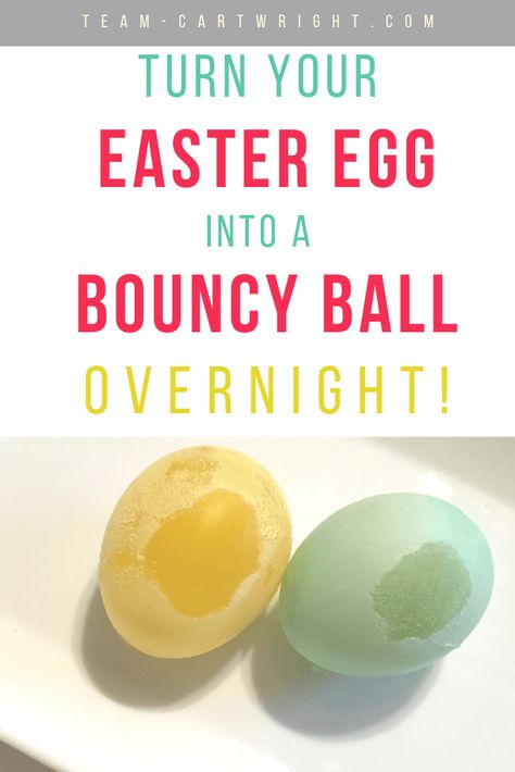 Turn your Easter egg into a bouncy ball overnight! Learn how easy it is to turn a raw egg into a bouncy, sensory STEM experiment!  A simple science activity perfect for preschoolers and toddlers. #stem #stemactivities #science #scienceforkids #scienceexperiments #easter #eastercrafts #eastercraftsforkids #preschool #preschoolactivities #toddler #toddleractivities #learningactivities Team-Cartwright.com Holiday Stem Activities, Egg Experiment, Bouncy Egg, Rubber Egg, Simple Stem Activities, Easter Stem, Stem Activities Kindergarten, Egg Experiments, Holiday Stem