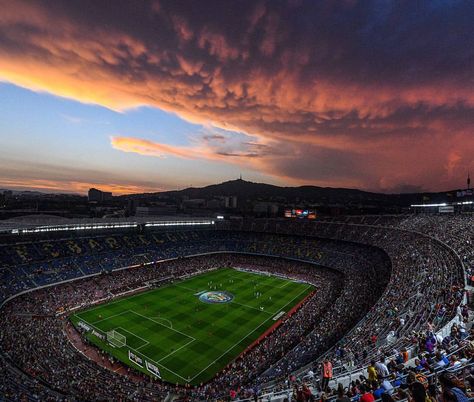 See this Instagram photo by @uefachampionsleague • 18.8k likes Barcelona Camp Nou, Sequoia National Park Camping, Fc Barcelona Wallpapers, Barcelona Futbol Club, National Park Camping, Soccer Stadium, Barcelona Football, Alex Rodriguez, Barcelona Fc