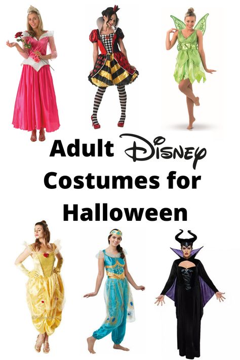 Adult Disney Princess Costume For Women, Easy Princess Costume For Women, Disney Fancy Dress Women, Easy Disney Costumes For Women, Adult Disney Costumes For Women, Womens Disney Princess Costumes, Disney Character Costumes For Women, Diy Disney Costumes For Women, Adult Disney Princess Costume