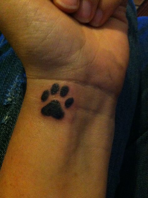 My new paw print tattoo! Stick And Poke Tattoo, Pawprint Tattoo, Paw Tattoo, Cat Tat, Stick N Poke Tattoo, Sweet Tattoos, Poke Tattoo, Memorial Tattoos, Stick And Poke