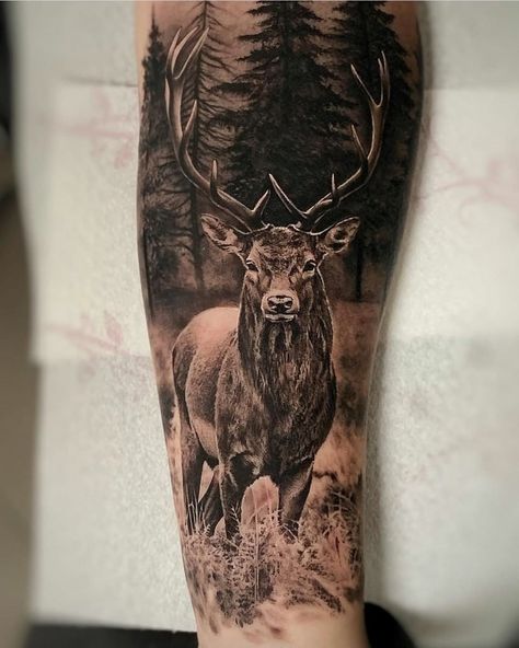 Tattoo by @carlesbonafe⁣ ⁣⁣⁣ ➖➖➖➖➖➖➖➖➖➖⁣⁣⁣⁣⁣⁣⁣⁣⁣⁣⁣⁣⁣⁣⁣⁣ Tag us to be featured⁣⁣⁣⁣⁣⁣⁣⁣⁣⁣⁣⁣⁣⁣⁣ ➖➖➖➖➖➖➖➖➖➖➖➖➖➖➖➖⁣⁣⁣⁣⁣⁣⁣⁣⁣⁣➖➖➖➖➖➖⁣⁣⁣⁣⁣⁣ ⁣⁣⁣⁣⁣⁣… Stag Tattoo Design, Tropisches Tattoo, Natur Tattoo Arm, Deer Head Tattoo, Elk Tattoo, Deer Tattoo Designs, Dragon Tattoo Arm, Animal Tattoos For Men, Stag Tattoo