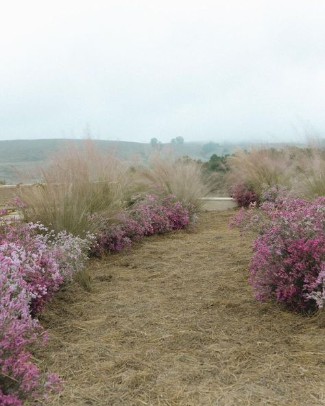 Lavender Field Wedding, Studio Mondine, Lake House Wedding, Field Wedding, Lavender Field, Inspo Instagram, Ceremony Inspiration, Earth Art, January 27