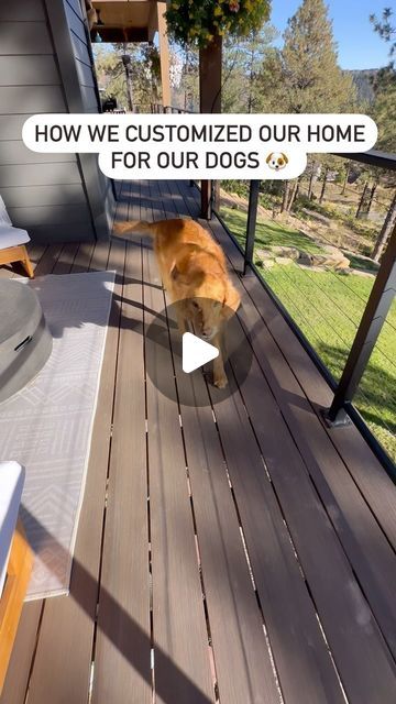 Rachel Hoch on Instagram: "When we built our home we knew we needed to add some extra special touches for our dogs. It’s their home too! 

Here are our 5 most practical and recommended dog features if you’re building! 

1. Pull out dog food storage. Ours is in the laundry room which works perfectly for us! 

2. Low windows and doors. It’s their home too! They should be able to see outside and watch the neighbor dogs go by! (Pro tip: this will also save your furniture!) 

3. Built in pocket gates. I don’t know about you, but I HATE traditional baby gates and didn’t want them anywhere near my new home. We had these designed and made custom. They slide into the wall when not in use, and match our aesthetic when out! 

4. Dog shower. Need I say more? Ours is in the garage and also serves as an Space For Dogs In House, Pocket Dog Door, Dog Friendly Porch Ideas, Dog Crate In Laundry Room, Laundry Room Dog Room Combo, Built In Dog House In Wall, Dog Door Ideas In Wall Outside, Dog Porch Ideas, Dog Flap Ideas