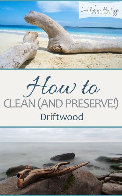 How to Clean Driftwood, How to Preserve Driftwood, Driftwood, Things to Do With Driftwood, Driftwood Crafts, Easy Driftwood Crafts, Popular #DIYDecor #DIYProjects #DIYHome #DIYHomeDecor #CoastalHome Preserve Driftwood, Clean Hacks, Hardwood Floor Cleaner, Driftwood Diy, Cleaning Painted Walls, Driftwood Ideas, Driftwood Projects, Glass Cooktop, Deep Cleaning Tips