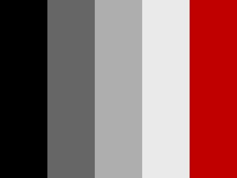 "SkiZ.o.Colors" by Skiz.o Black, Grey, Red, Skiz.o, White, skizo Black White Red Palette, Black White Grey Red Color Palette, Spiderman House, Photoshoot Color Scheme, Flat Color Palette, Black Color Palette, Red Color Schemes, Red Colour Palette, Living Room Red