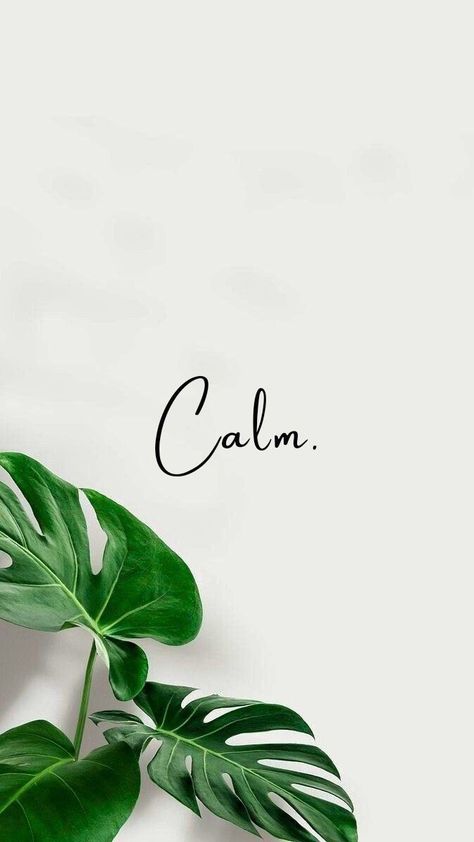 What To Plant In February, Leaves Wallpaper Iphone, Good Morning Posters, Start A Garden, Positive Quotes Wallpaper, Iphone Wallpaper Lights, Phone Wallpaper Boho, Iphone Wallpaper Landscape, Beautiful Wallpaper For Phone