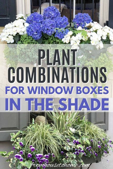 Window box ideas for shade Window Box Ideas, Flower Combinations, Impatiens Plant, Window Box Plants, Window Box Garden, House To Home, Window Box Flowers, Window Planters, Cascading Flowers