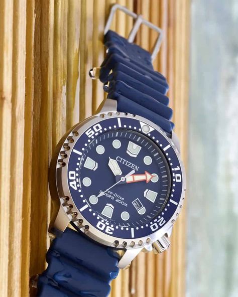 Citizen Promaster Diver, Dive Watches For Men, Citizen Watches For Men, Citizen Dive Watch, Vintage Dive Watches, Timepiece Design, Christopher Ward, Diver Watch, Divers Watch