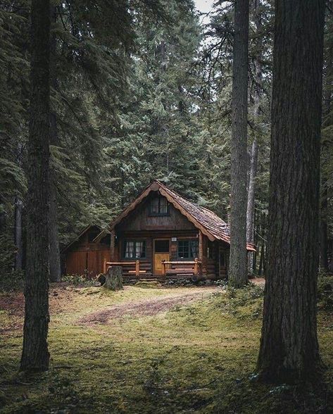 A Cabin In The Woods, Little Cabin In The Woods, Rustic Log Cabin, Forest Cabin, Shed Plan, Cottage Cabin, Cabin Living, Little Cabin, Log Cabin Homes